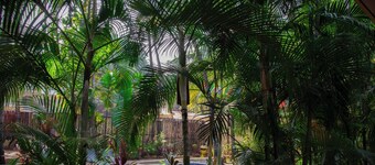 Zulley Eco Resort