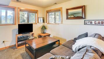 TV, video games, books