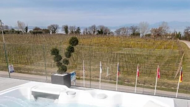 Pool - La Maison du Port (Lazise)