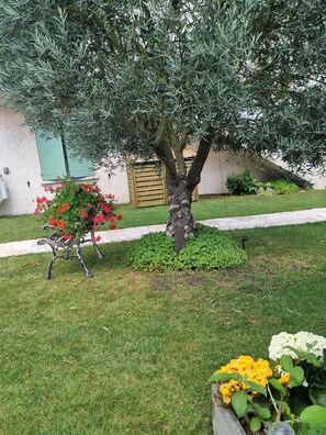 المنطقة المحيطة بالمنشأة