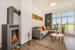 TV, fireplace, DVD player, stereo