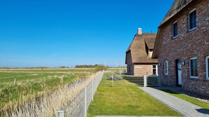 Terrace/patio - Vacation home Marga Sophie- dreamlike idyll under thatch in Dagebüll (Dagebüll)