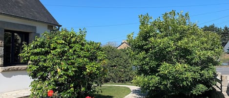 Terrain de l’hébergement