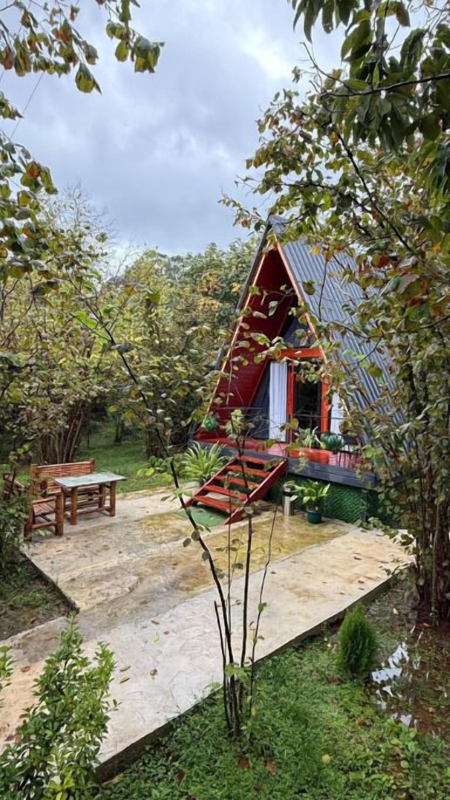 テラス / パティオ