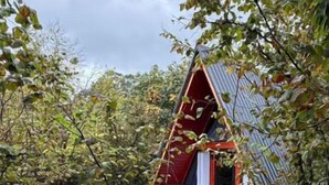 Une petite cabane de forme triangulaire, à l’extérieur rouge et à la porte blanche, entourée d’une végétation luxuriante et dotée d’une terrasse en pierre.