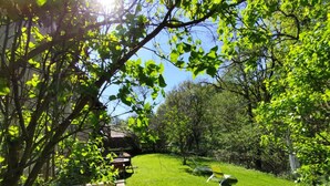 Un jardin luxuriant et verdoyant, avec une terrasse en bois et une chaise longue.