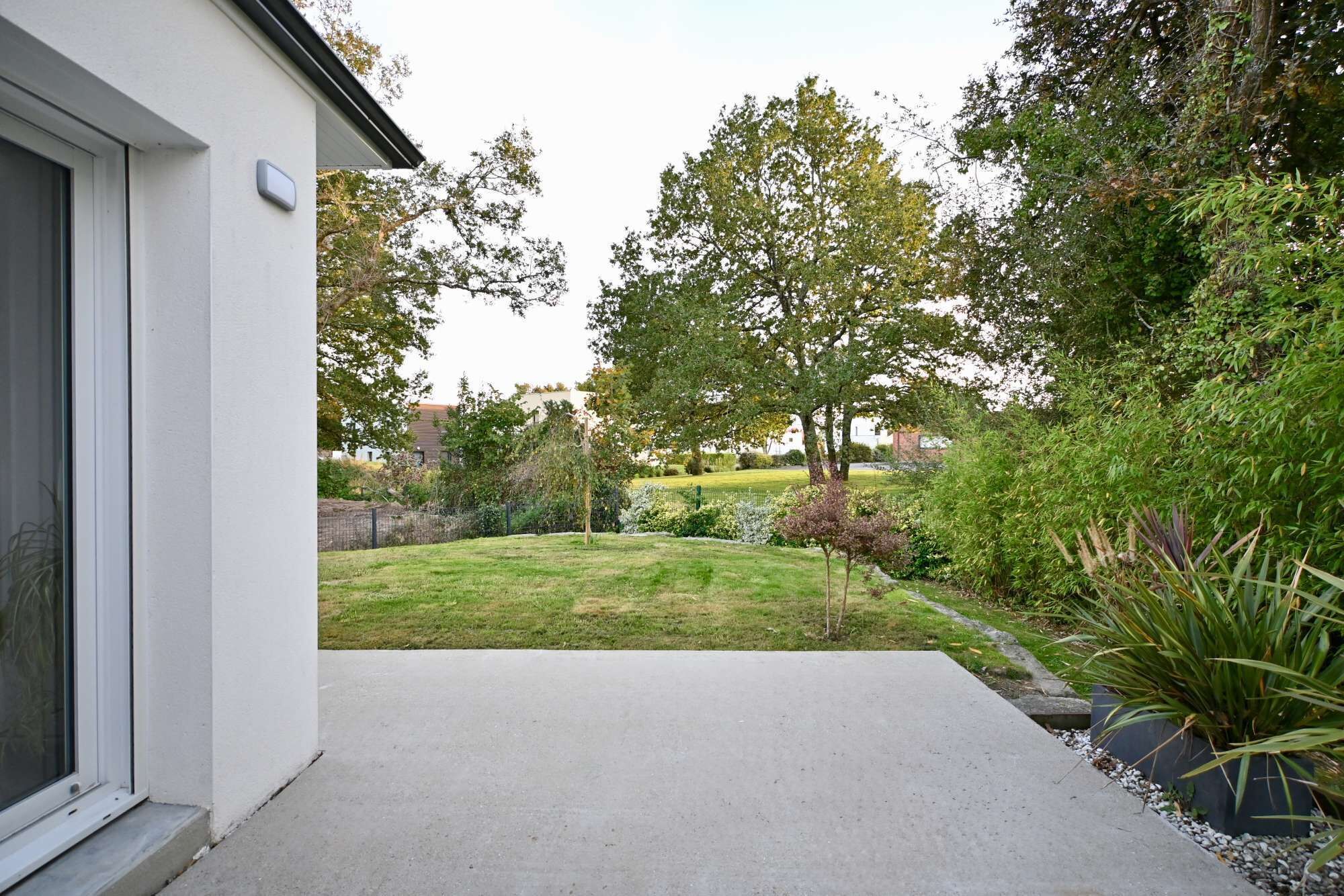 A modern house with a concrete patio, a well-maintained lawn, and a variety of trees and shrubs.