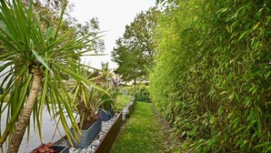 A narrow pathway flanked by lush greenery and a palm tree. - Modern house with garden, not overlooked – 3 bedrooms – Vannes (Vannes)
