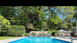 Ein rechteckiger Swimmingpool mit Fliesenbord, umgeben von üppiger Vegetation und Bäumen.