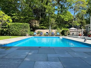 Ein rechteckiger Swimmingpool mit Fliesenbord, umgeben von üppiger Vegetation und Bäumen.