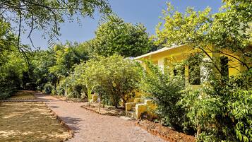 Vista para o jardim