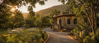  Sariska Forest Trail
