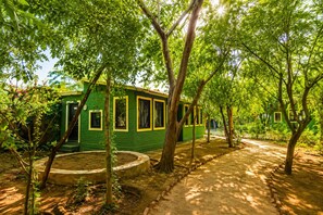 A green building with multiple windows, surrounded by trees and a dirt path. -  Sariska Forest Trail (Rajgarh)