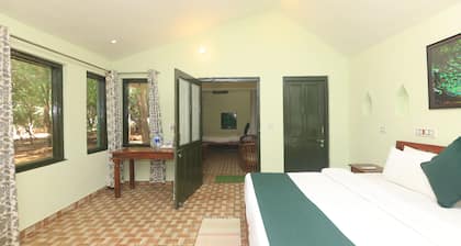 Sariska Forest Trail