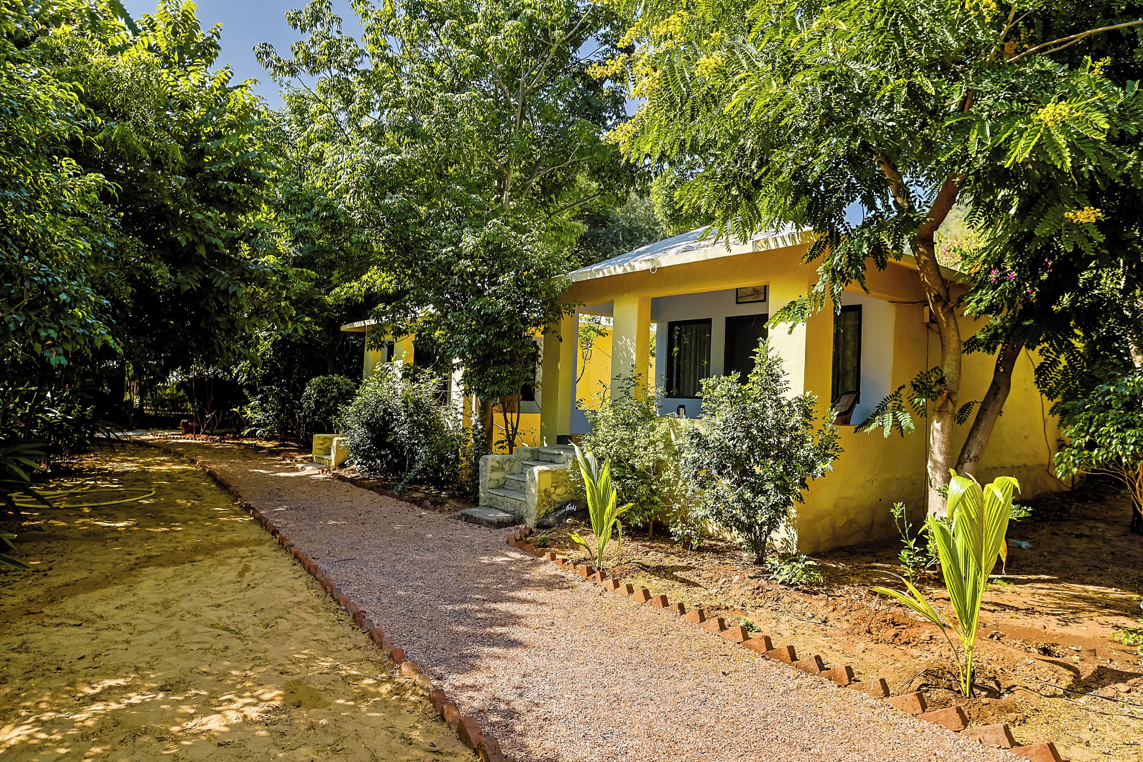 Vue sur le jardin