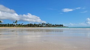 Une plage avec un ciel dégagé, une eau calme et une rangée de palmiers en arrière-plan.