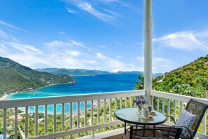 Outdoor dining - NEW LISTING: Makere House, Cottage & Pool - Spectacular Views, 5 Mins To Beaches (Cane Garden Bay)