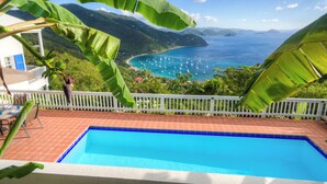 A swimming pool with a view of a coastal area, surrounded by lush greenery and mountains. - NEW LISTING: Makere House, Cottage & Pool - Spectacular Views, 5 Mins To Beaches (Cane Garden Bay)