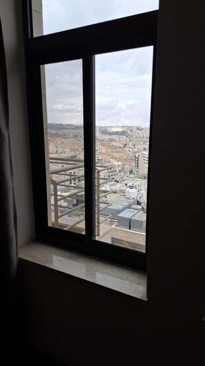 Double Room, City View | View from room