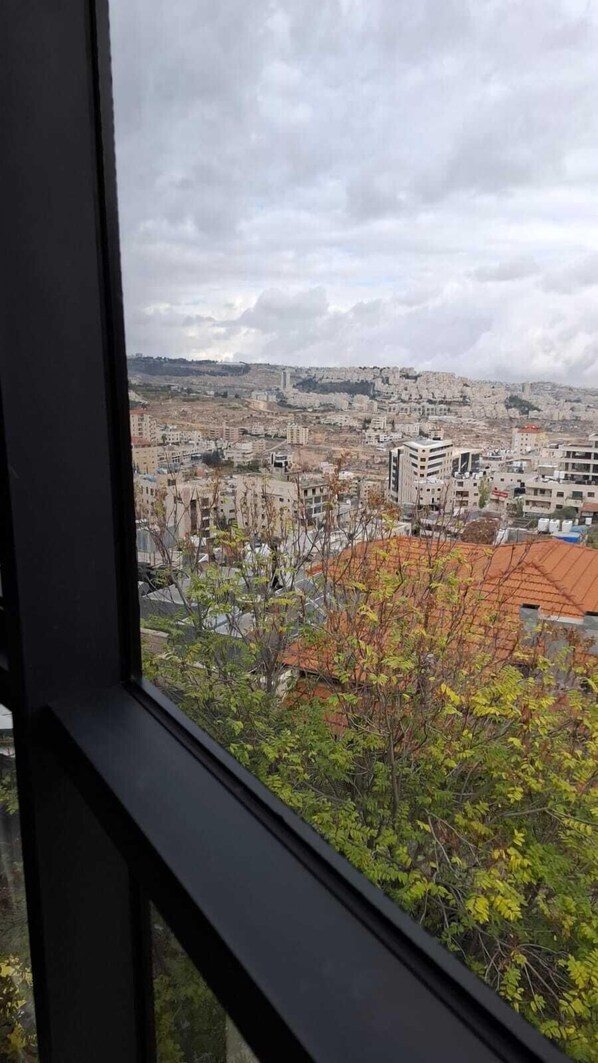 Vista de la ciudad a través de una ventana, mostrando una combinación de edificios residenciales y comerciales, con una colina destacada al fondo.