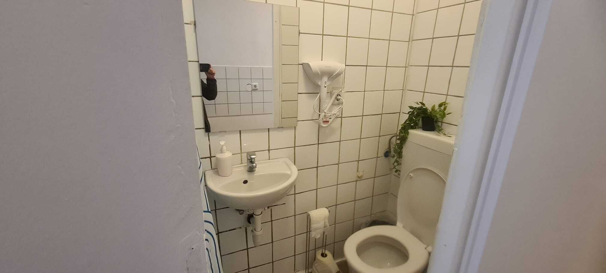 A small bathroom with a white sink, a mirror, a hairdryer, and a toilet.