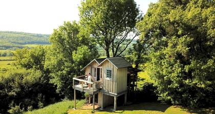Clos de Fougères - Le domaine intégral