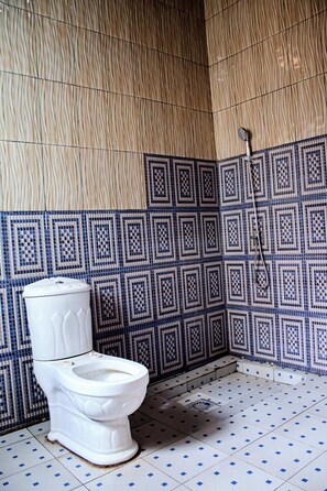 Un baño con inodoro blanco, azulejos azules y beige estampados, y zona de ducha.