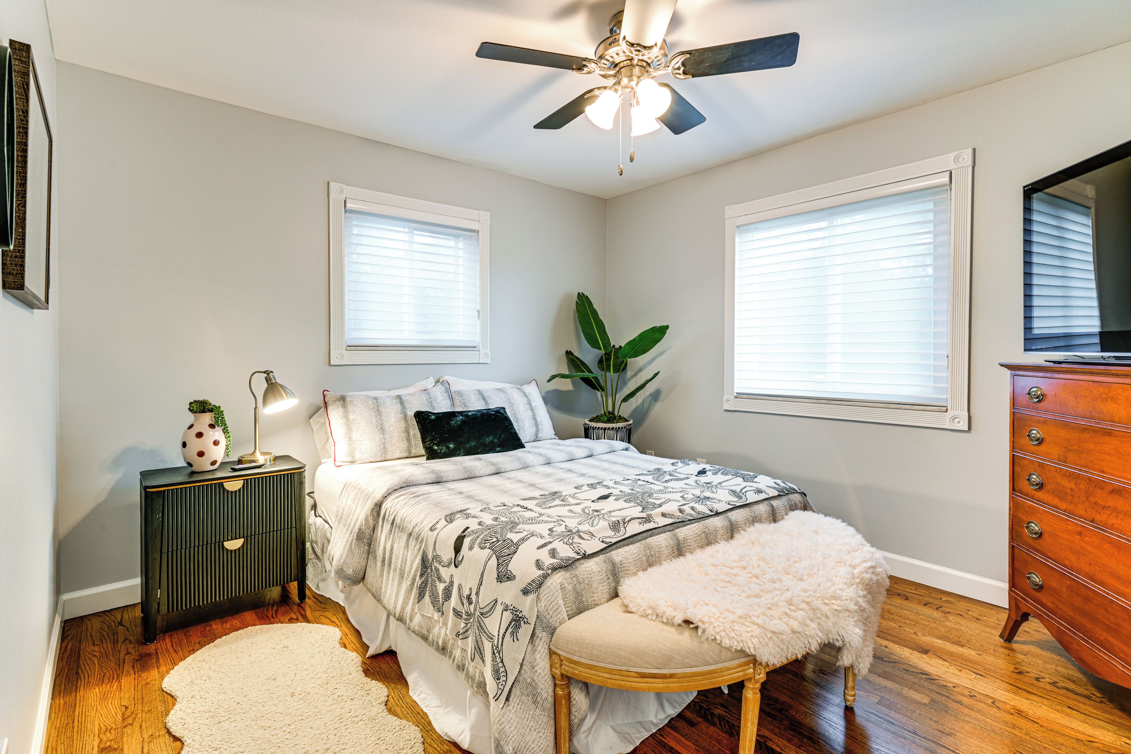 A bedroom with a bed, a nightstand, a dresser, a ceiling fan, and two windows with blinds.
