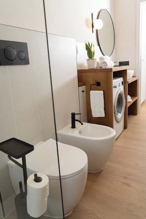 Shower, hair dryer, bidet, towels