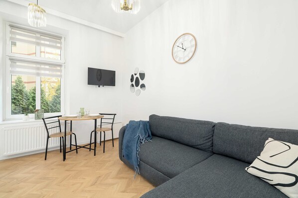 Fernseher, Arbeitsbereiche