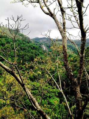 Deluxe Double Room, Balcony, Mountain View | Terrace/patio