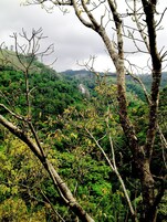 Deluxe Double Room, Balcony, Mountain View | Terrace/patio