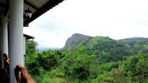A view from a covered porch overlooking a lush, green landscape with a prominent hill in the distance. - Jade Ella (Ella)