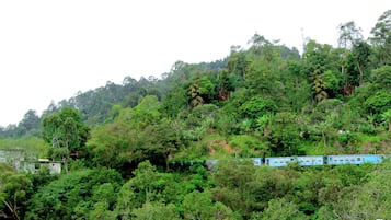 Deluxe Double Room, Balcony, Mountain View | Terrace/patio