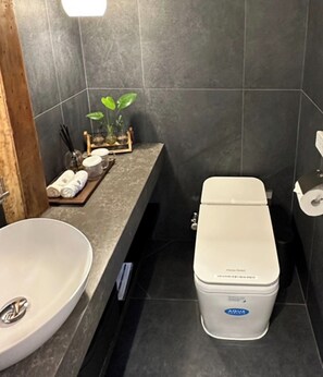 Une salle de bain moderne avec un lavabo blanc, des toilettes et une petite étagère contenant des articles de toilette.