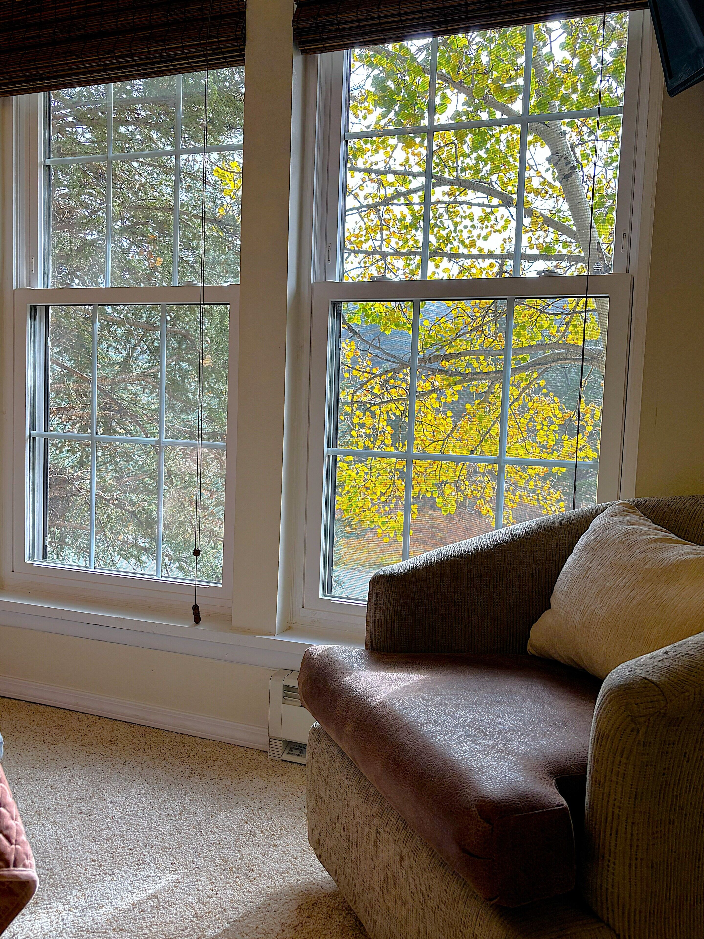 智能電視、壁爐