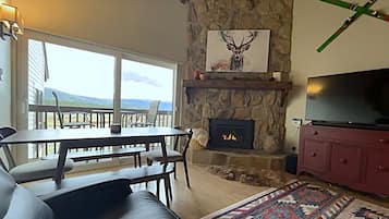 Smart TV, fireplace, books