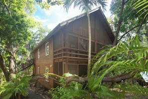A wooden house surrounded by lush greenery and a tree branch. -  Charming 3-bedroom house with AC in Sandy Bay, SCUBA, and snorkelers paradise (Sandy Bay)