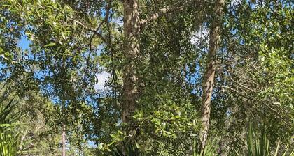 Camp in the Sunshine in enchanting Crystal River , Resort Amenities, sleeps 4