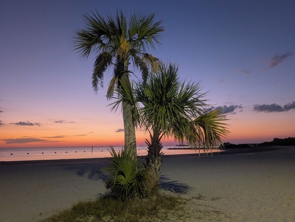 Beach towels - Camp in the Sunshine in enchanting Crystal River , Resort Amenities, sleeps 4 (Crystal River)