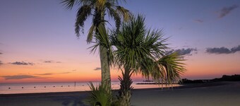 Camp in the Sunshine in enchanting Crystal River , Resort Amenities, sleeps 4