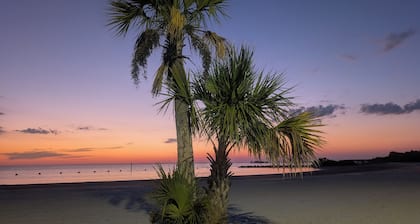 Camp in the Sunshine in enchanting Crystal River , Resort Amenities, sleeps 4