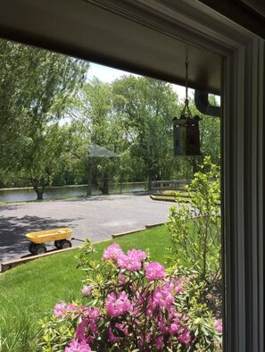 الإطلالة من المنشأة