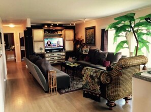 تلفزيون، مدفأة