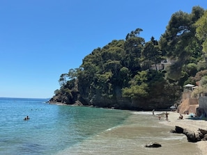 A beach with clear water, rocky shore, and dense trees.