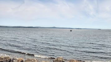 Sun loungers, beach towels