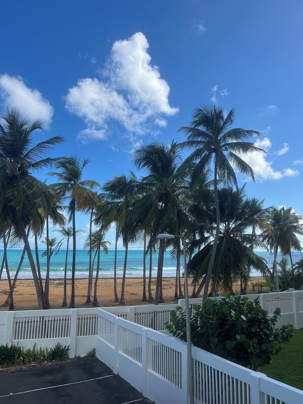 Property grounds - Ocean Front two bedroom apartment with AC through it , in Luquillo PR. (Luquillo)