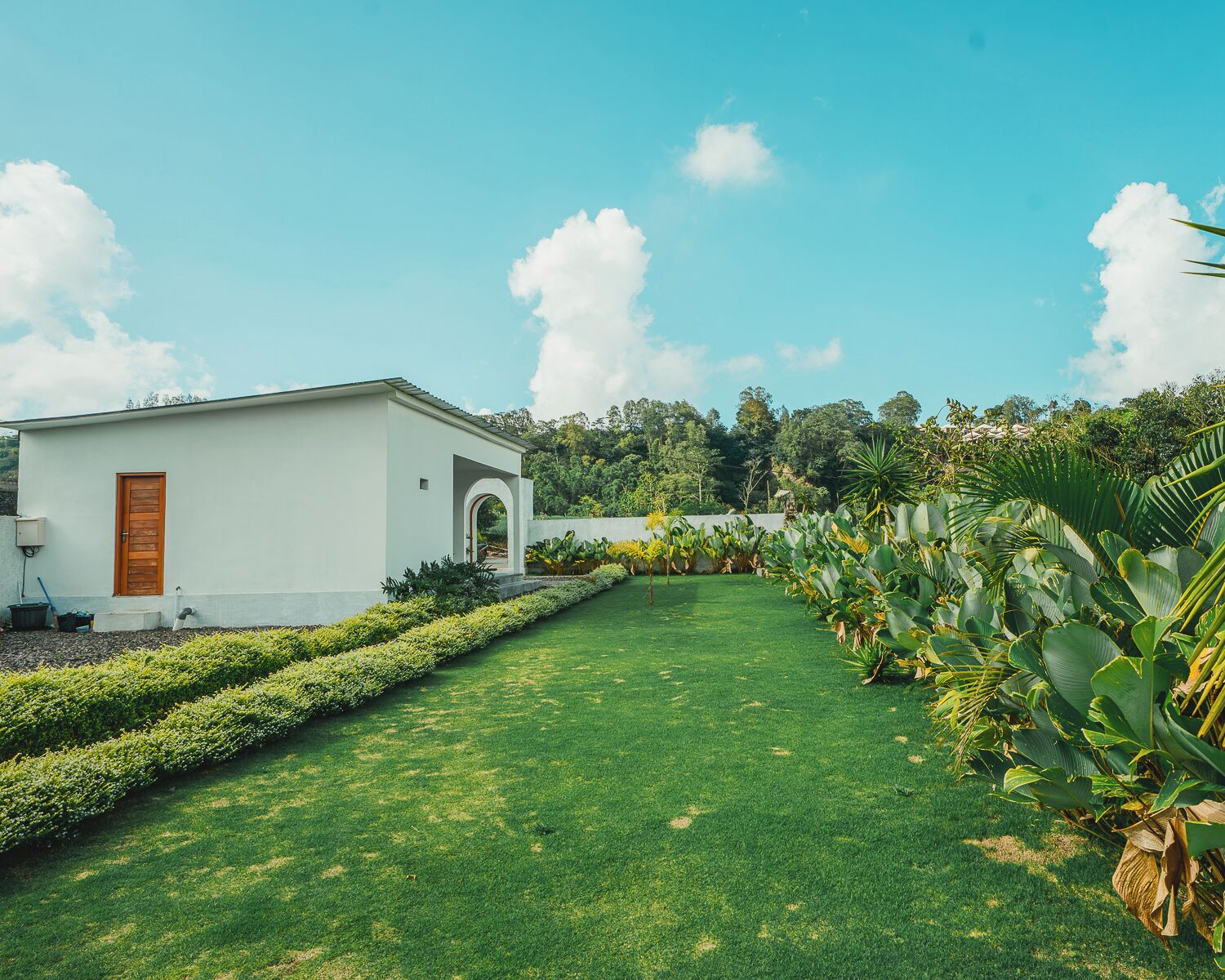 Un edifici blanc amb una porta de fusta, un jardí ben cuidat i plantes tropicals.