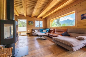 TV, fireplace, DVD player