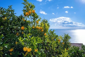 Classic Double Room, Balcony, Sea View | Balcony view - Locanda degli Agrumi (Conca dei Marini)